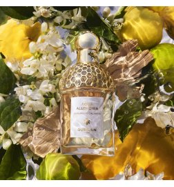 Aqua Allegoria Bergamote Calabria - Eau de Toilette Aqua Allegoria Bergamote Calabria - Eau de Toilette